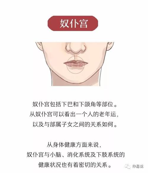武曲星坐守十二宫——奴仆宫