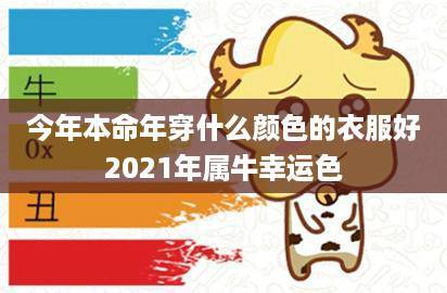 二十八出生的属牛人的命运?属牛适合穿什么颜色的衣服?