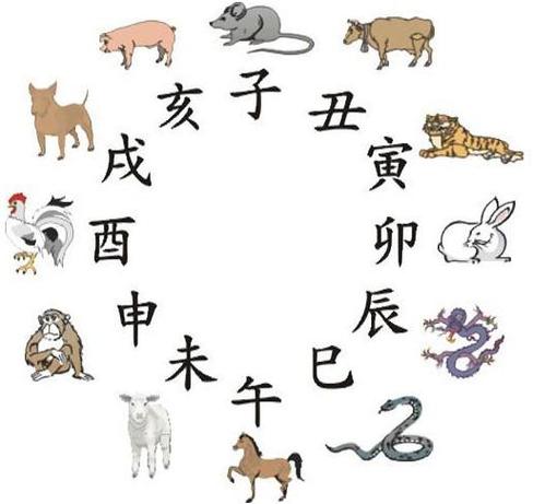 十二生肖女生的真命天子是什么样的?