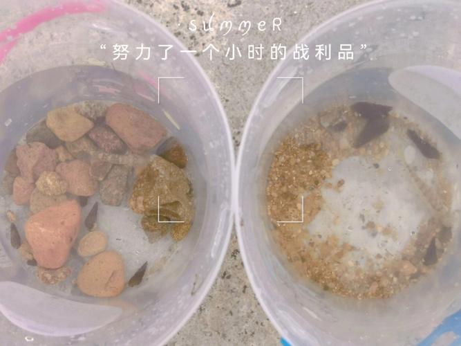 前面有一条小河,你会选择什么方法过去?