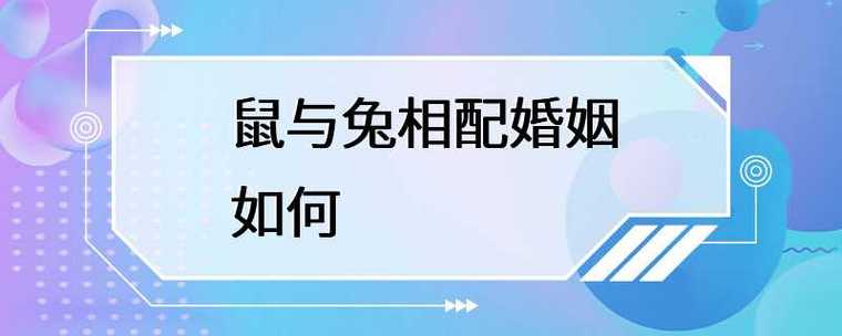女鼠和男兔相配婚姻如何