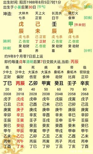 壬骑龙背格女人命运