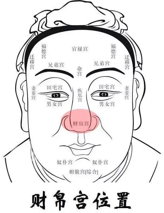 什么叫面相