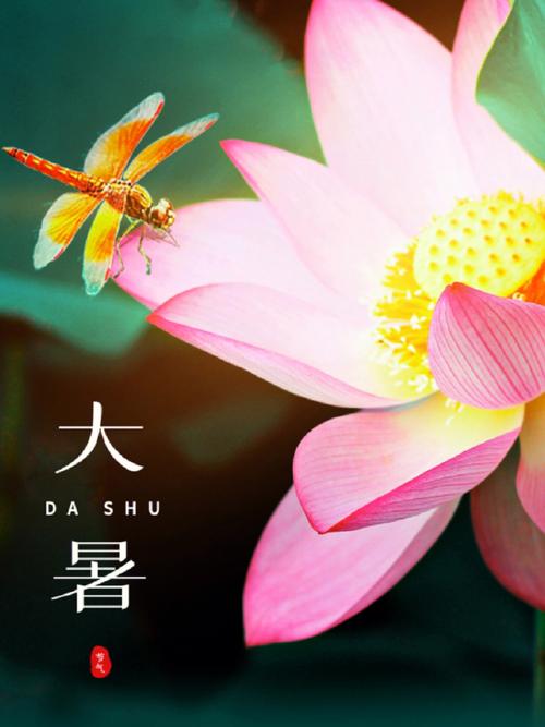 今年大暑是什么日子?生肖属牛人大暑节气出生命运好不好?