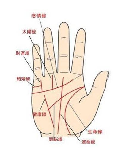 手相告诉你灾难的预兆