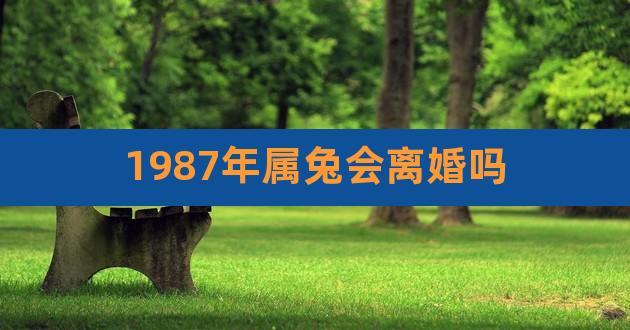 87年兔离婚的为什么那么多