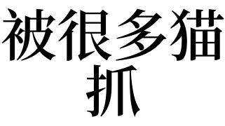 梦见被很多猫抓