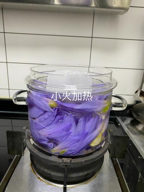 蓝莲花的养殖方法及注意事项