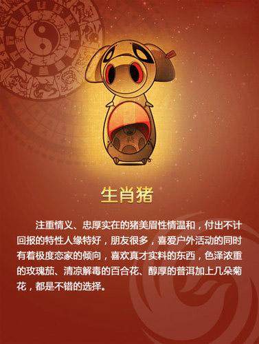 生肖猪的恋家指数