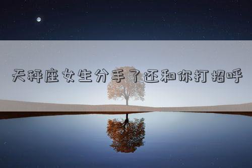 天秤座女提分手