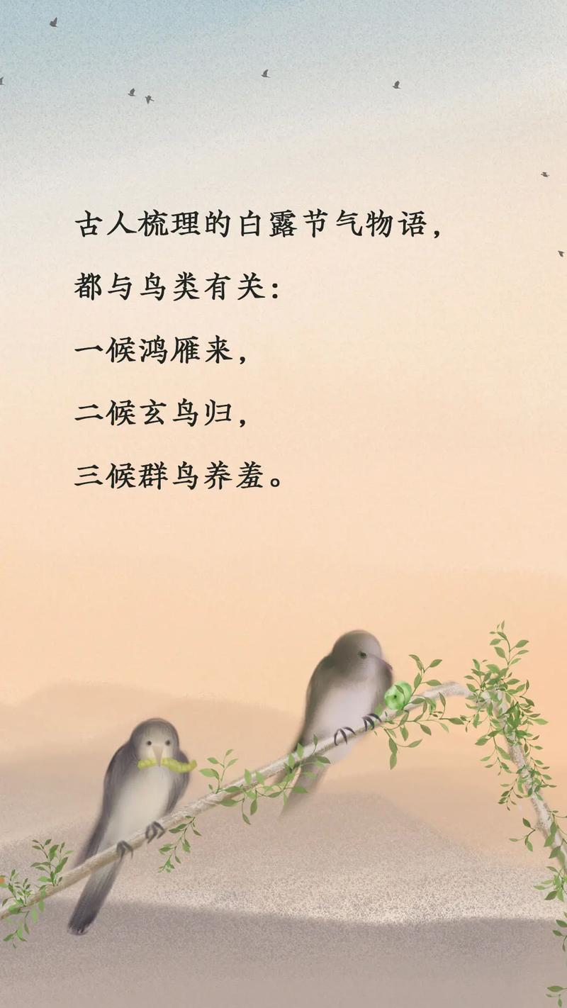白露节气出生的属鼠人命运好不好?2020白露是吉日吗?