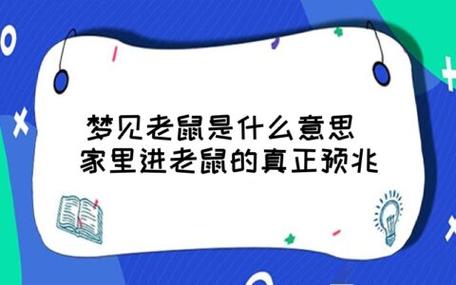 梦见大老鼠跑来跑去是什么意思