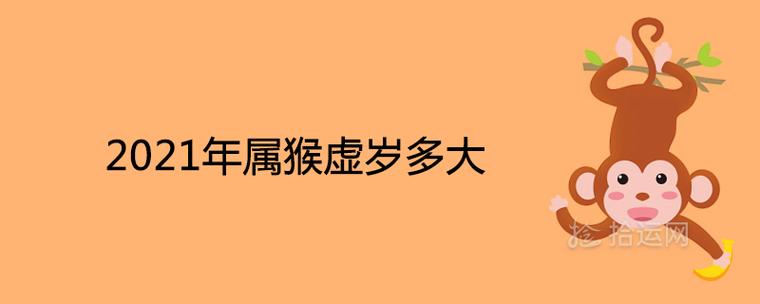属猴的今年多大,生肖猴2018年多少岁