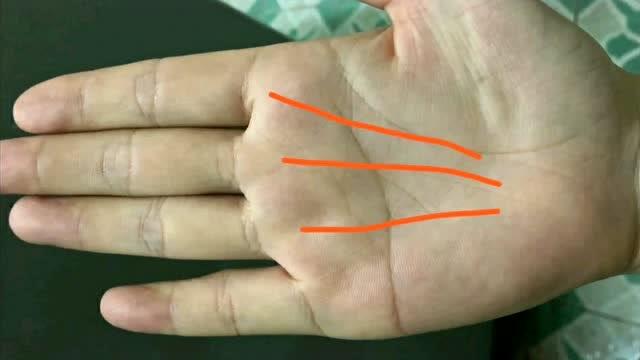 三奇纹摇钱树手相纹