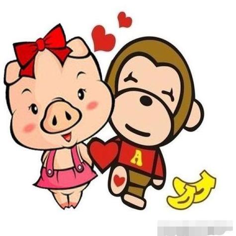 生肖配对:属猴男生和属猪女生