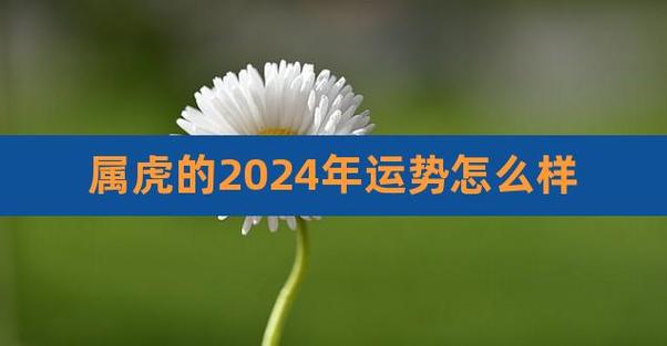 2021年01月02日属虎今日运势及运程详解