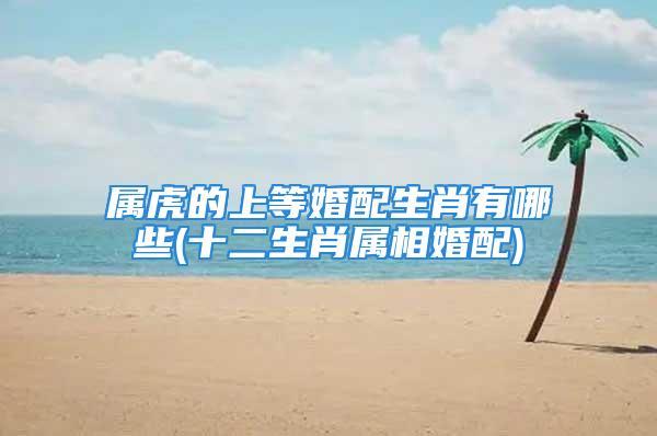 属虎的上等婚姻