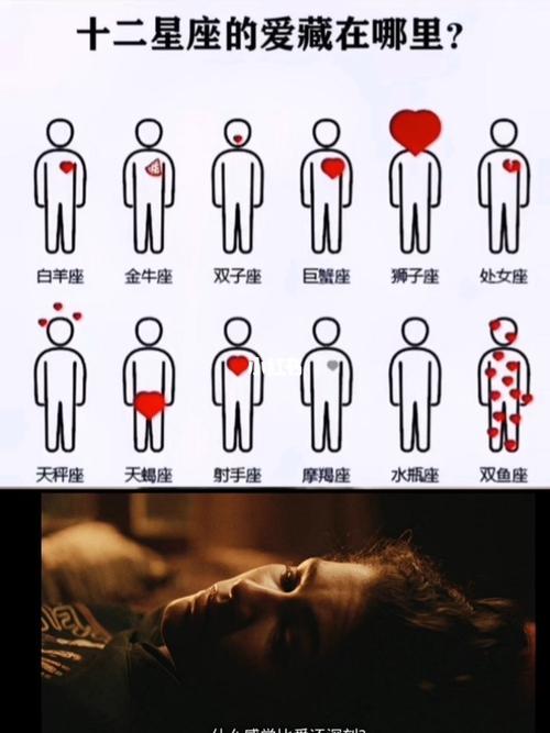 最喜欢在朋友圈晒爱情的星座