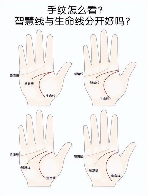 手相图解:指纹看性格和健康