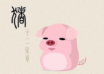 2021年5月属相猪的运势大全