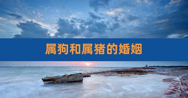 属狗与属猪的能不能结婚