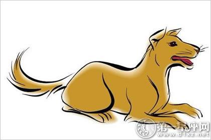 82年属狗住5楼好不好