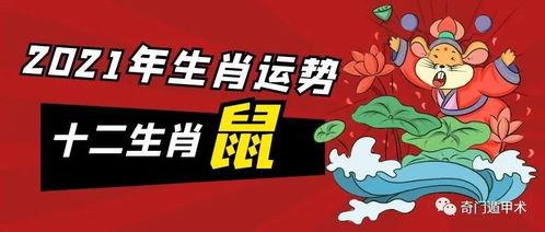 属鼠人2021年运程