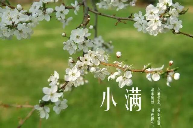 2020年小满节气喜神方位,出生在小满节气的属马人命运如何?