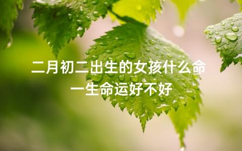 二月初二出生的女孩什么命