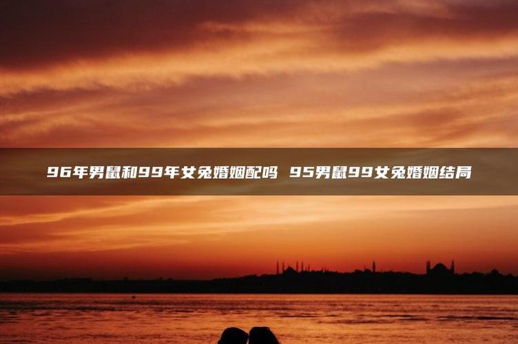 1996鼠与1999兔的婚姻