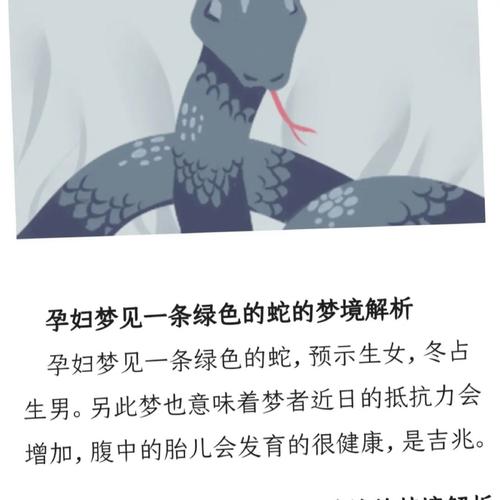 孕妇梦见绿蛇 孕妇梦见绿蛇生女孩吗