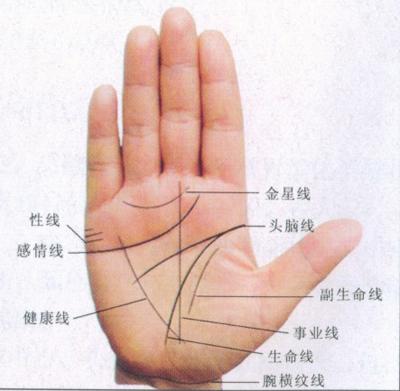 手掌纹生命线怎么看