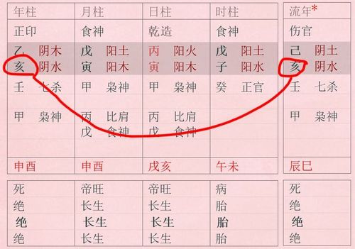 2019年属猪人的风水凶吉位如何?