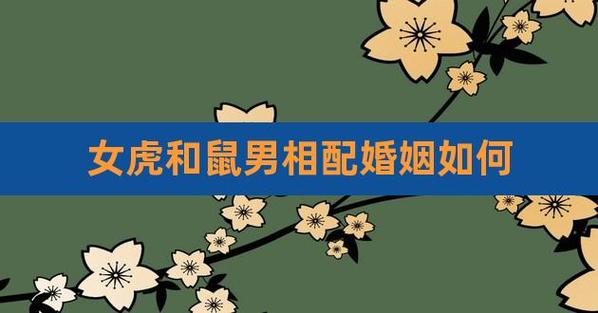 女鼠男虎相配吗