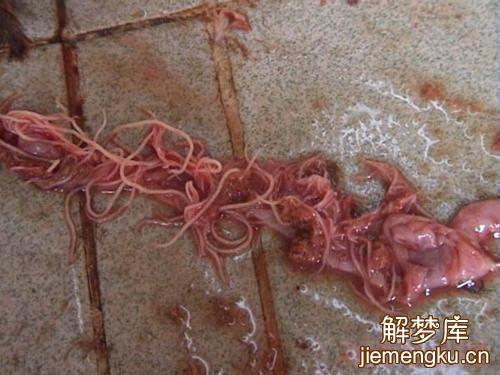 梦见身体上拔出长线虫有什么征兆