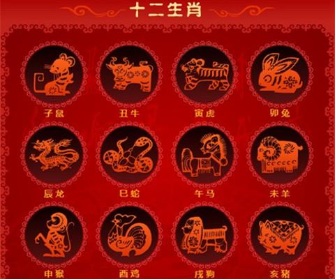 生肖虎增加子女缘最快的方法