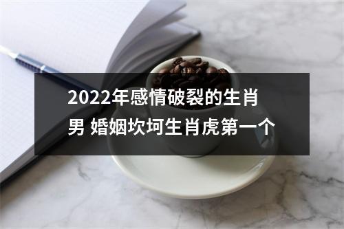 2022年容易离婚的生肖男