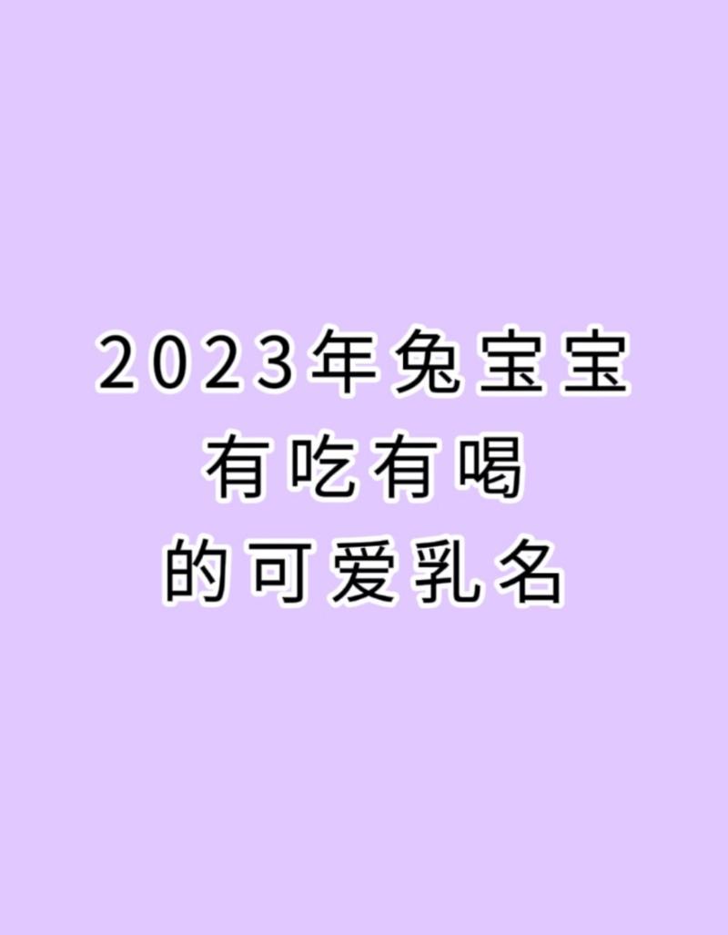 2023年兔宝宝乳名