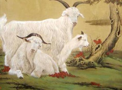 属羊和什么合得来