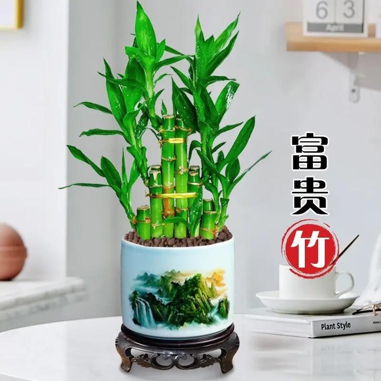 如何招财旺财 怎样能旺财