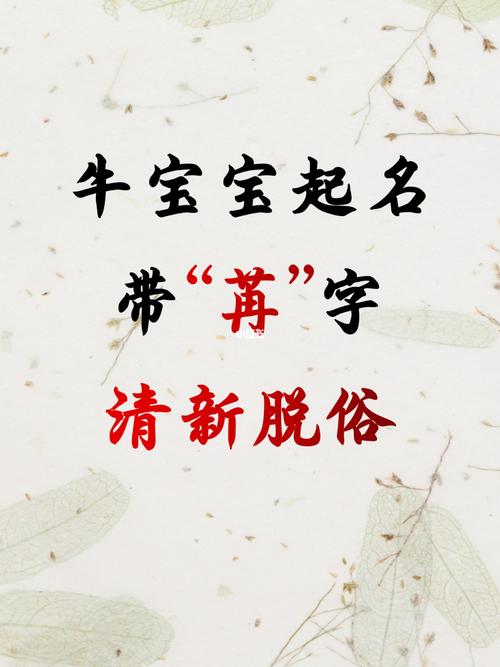 带苒字的好听男孩名字