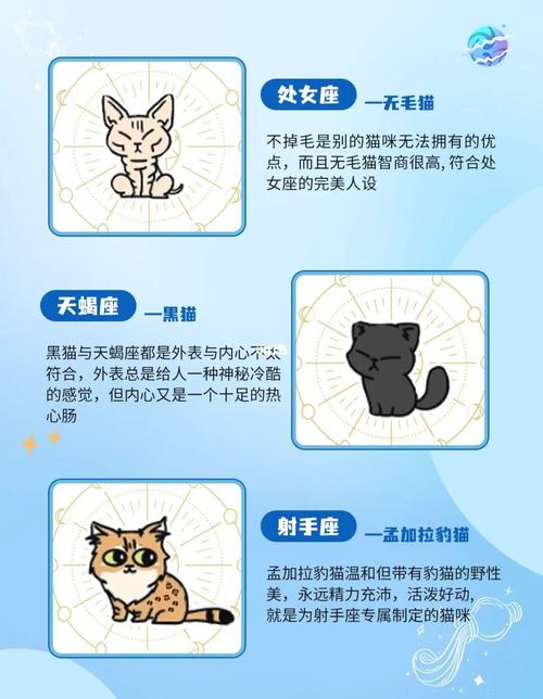 水瓶座最适合的度蜜月地