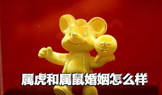 属鼠属虎相配吗