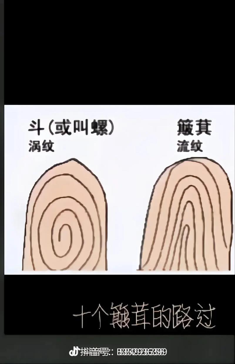 1个斗的女人命运如何,9个簸箕的女人是凤命