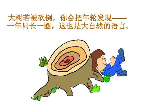 梦见大树被砍倒
