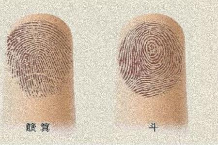 女生两个无名指都有螺纹