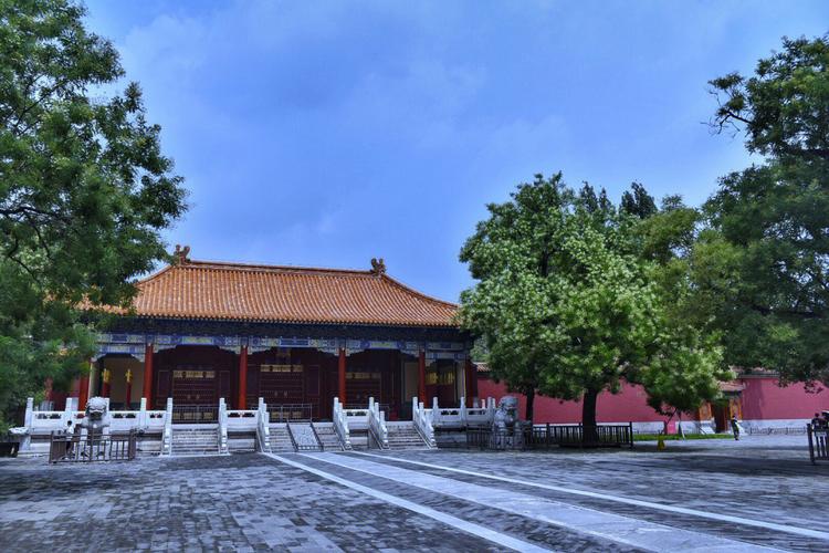 梦中的槐树象征着什么