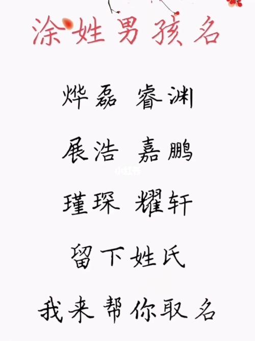 12月出生涂姓男宝宝名字