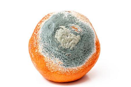 梦见烂橘子