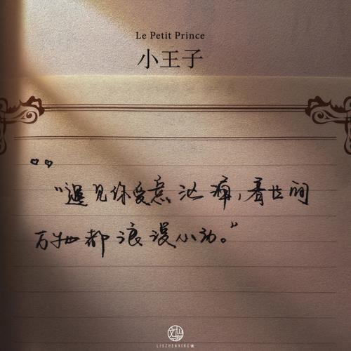 心里默念一个名字,选一束花,测TA会不会爱你到老!